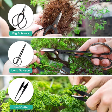 16PCS Bonsai Tree Kit Tool for Beginner Starter Trimming Care Kit W/ Scissor