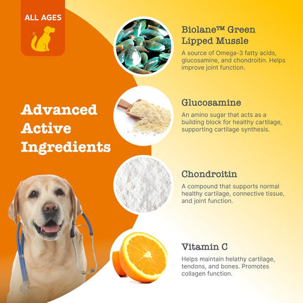 Zesty Paws Dog Travel Bundle 3-Pack 5-Chews Hip Joint Probiotic Calming