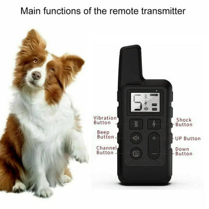 Anti-Bark Electric Shock Pet Dog Training E-Collar Obedience Remote Control Orange