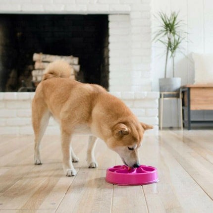 Dog Slow Feeder Pet Bowl Fun Bloat Maze Interactive Food Healthy Eating Dog Cat Blue-L