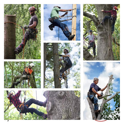 For High Altitude Logging Fruit Picking Hunting Climbing Tree Spikes 2 Gear Set