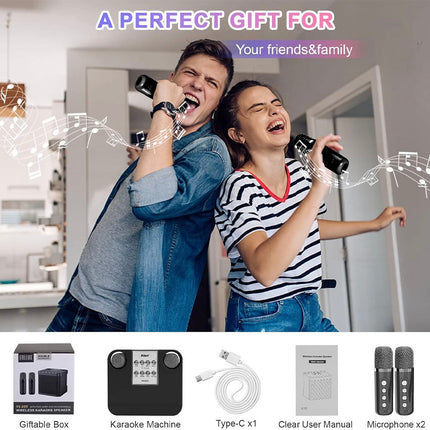 Wireless Bluetooth Speaker Home Karaoke Singing Machine Dual Microphone