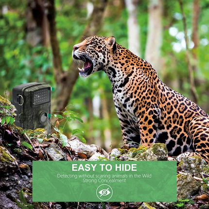 Hunting Trail Camera Wildlife Game 24MP 1440P Night Vision Outdoor Security Cam