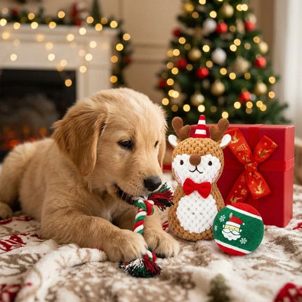 Festive Elk Christmas Dog Toy Set with Durable Cotton Rope and Soft Plush Ball Chew Toys