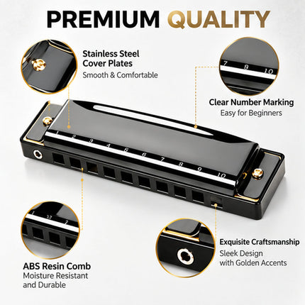 10-Hole Blues Harmonica in Key of C - Beginner Diatonic Mouth Organ for Adults