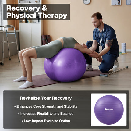 75cm Swiss Ball Yoga Ball Birth Ball Exercise Ball Pilates Gym Purple