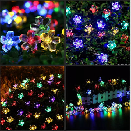 200 LED 20M Multi Colour Cherry Blossom Flower Solar Christmas Lights