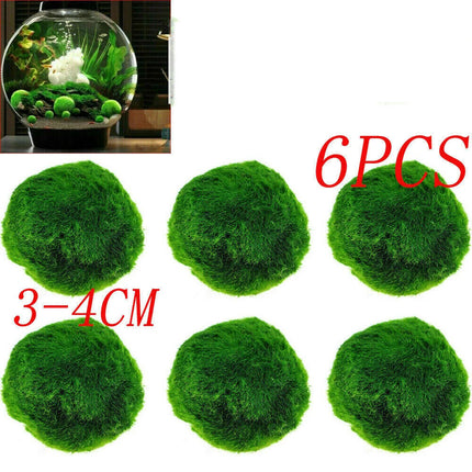 6Pcs 3-4cm Moss Balls Live Aquarium Algae Fish Shrimp Tank Green Seaweed