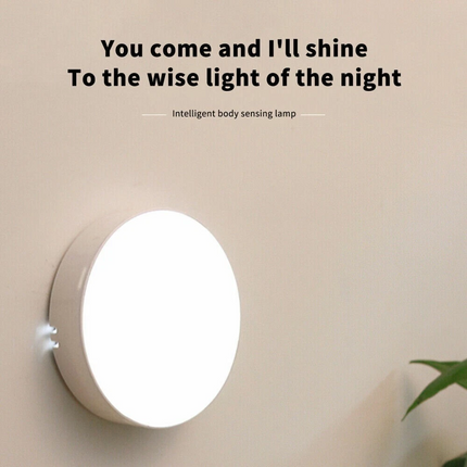 6pcs Motion Sensor LED Night Light USB Rechargeable Wall Mount Body Induction Lamp