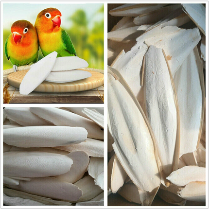 30 Cuttlebone Cuttlefish Sepia Bone Cuttle Fish Bird Food Calcium Pickstone