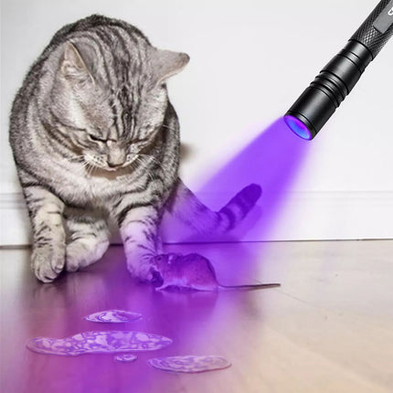 Rechargeable 395nm UV Lights 10900 Battery Tactical LED Black Light Flashlight
