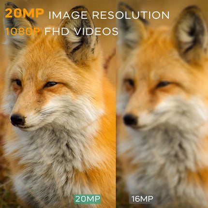 2 Pack Mini Trail Camera 24MP 1080P Wildlife Game Hunting Cam IR Night Vision