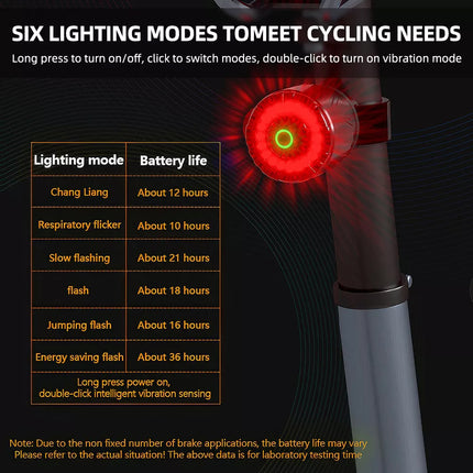 Smart Bicycle Rear Light Bike Tail Light Brake Sensor Taillight Brake Light USB