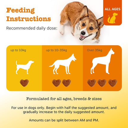 Zesty Paws Dog Probiotic Travel Pack 5 Chews Digestion Gut Health Pumpkin