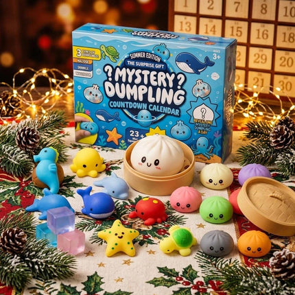 Fidget Mystery Dumpling Advent Calendar Adults Christmas Gift 24 Days Dumpling Toys Countdown B