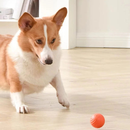 Boujee Gravity Bounce Ball,Boujeeflow Dog Ball,Interactive Vibrating Dog Balls