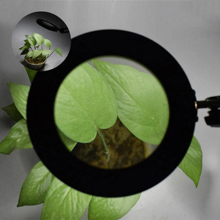 10X Magnifying Glass Desk Light Magnifier LED Lamp Reading Lamp With Base& Clamp