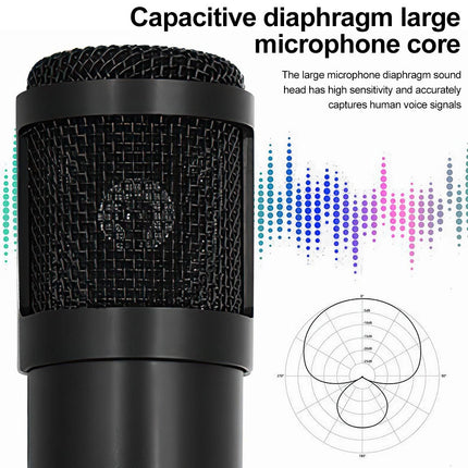 Home Studio Recording Kit Podcast Music Mixer Equipment Condenser Microphone Set