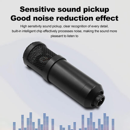 Home Studio Recording Kit Podcast Music Mixer Equipment Condenser Microphone Set