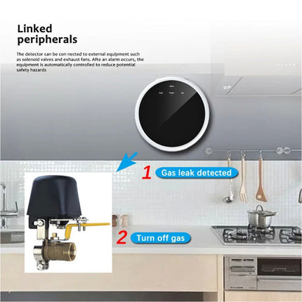 Natural Gas Detector Home Liquefied Petroleum Tester