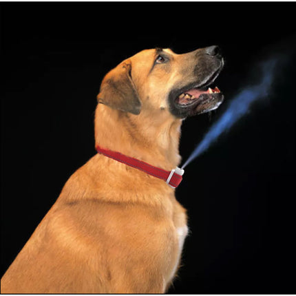 Dog Citronella Anti Bark Spray Collar Rechargeable Training Stop Barking Humane 1 Colar + 1 Sprays