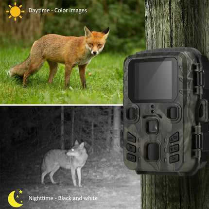 2 Pack Trail Camera 24MP 1080P Wildlife Game Hunting Cam IR Night Vision+SD Card