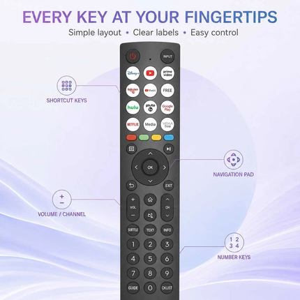 Hisense TV Remote Control Replacement VIDAA Smart TV 4K QLED LED EN2B27 EN2Q36H