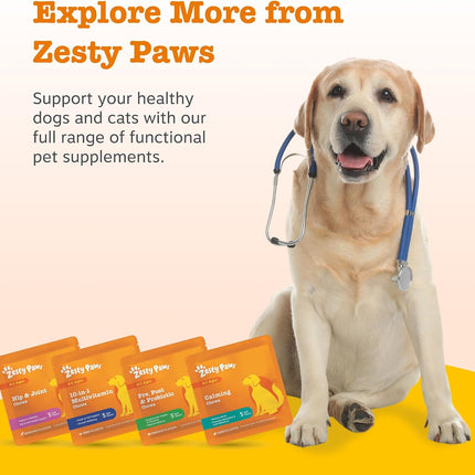 Zesty Paws Dog Probiotic Travel Pack 5 Chews Digestion Gut Health Pumpkin
