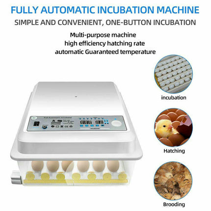 36 Egg Incubator Fully Automatic Egg Turning Hatcher Quail Chicken Duck