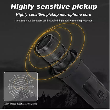 2X Wireless Microphone Handheld Cordless Professional Mic Receiver Karaoke