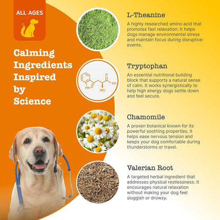 Zesty Paws Dog Travel Bundle 3-Pack 5-Chews Hip Joint Probiotic Calming