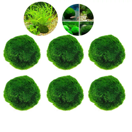 6Pcs 3-4cm Moss Balls Live Aquarium Algae Fish Shrimp Tank Green Seaweed