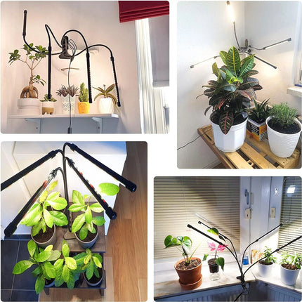 4 Head LED Grow Light with Stand for Indoor Plants Full Spectrum Plant Grow Lamp