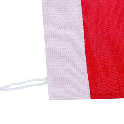 Golf Practice Hole Pole Cup Flag Backyard Stick Putting Flagstick Set 195CM
