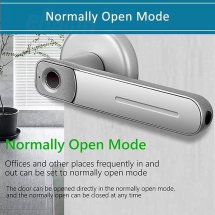 Electronic Handle Smart Fingerprint Door Lock Biometric Digital Code Door Lock