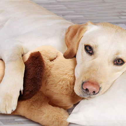 Pet Puppy Cat Soft Plush Toy Heartbeat Sleeping Buddy Dog Behavioral Anxiety Aid