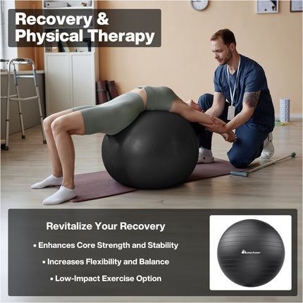 Black Swiss Ball Yoga Ball Birth Ball Exercise Ball Pilates Gym 75cm
