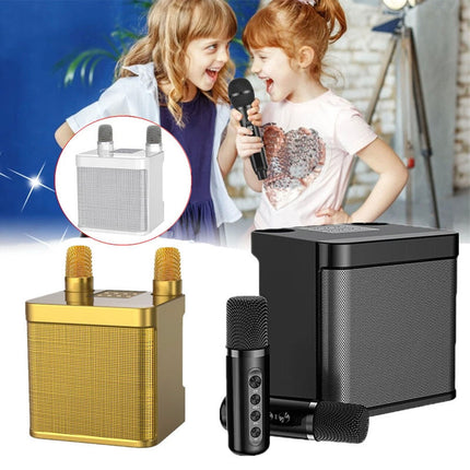 Wireless Bluetooth Speaker Home Karaoke Singing Machine Dual Microphone