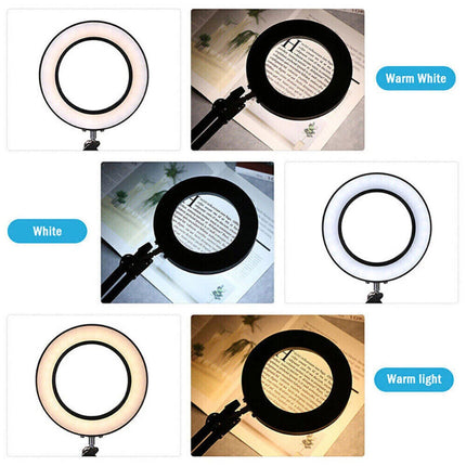 10X Magnifying Glass Desk Light Magnifier LED Lamp Reading Lamp With Base& Clamp
