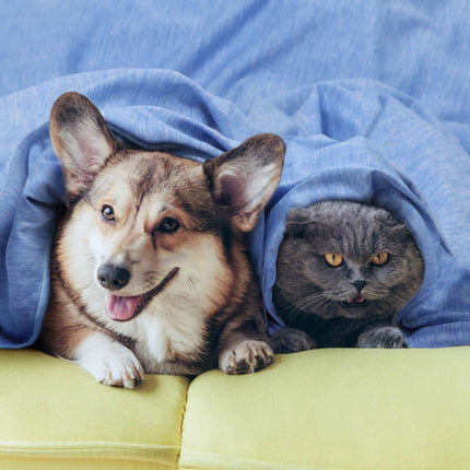 Cooling Blanket, Lightweight Summer Throw for Comfortable Cool Touch