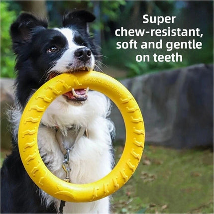 Dog Flying Ring Toy Floating Disc Outdoor Fitness Durable Interactive Chew Toys