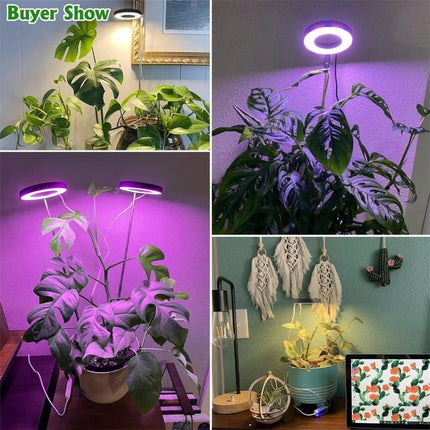 Full Spectrum Plant 48 LED UV Grow Light Veg Lamp For Indoor Hydroponic Plant AU