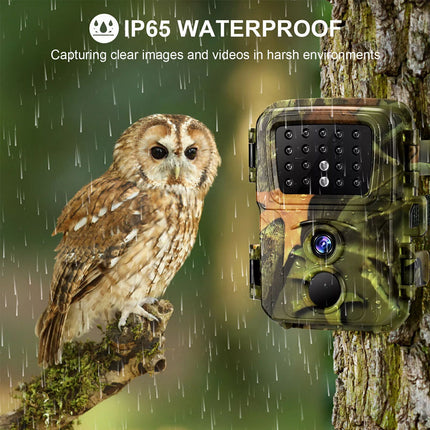 2 Pack Mini Trail Camera 24MP 1080P Wildlife Game Hunting Cam IR Night Vision