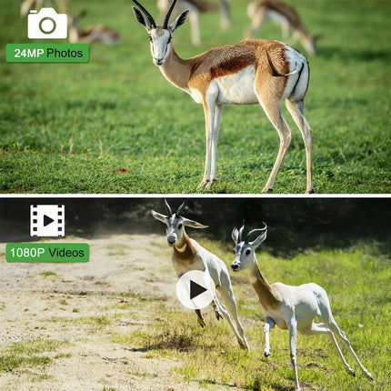 2 Pack Trail Camera 24MP 1080P Wildlife Game Hunting Cam IR Night Vision+SD Card