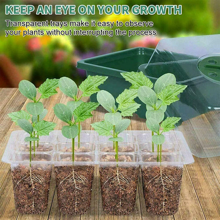 10pcs Seedling Tray Garden Plant Seeds Grow Box Propagation Planting 12 Hole