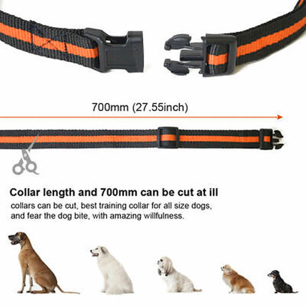 Anti-Bark Electric Shock Pet Dog Training E-Collar Obedience Remote Control Orange