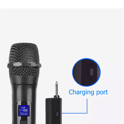 2X Wireless Microphone Handheld Cordless Professional Mic Receiver Karaoke