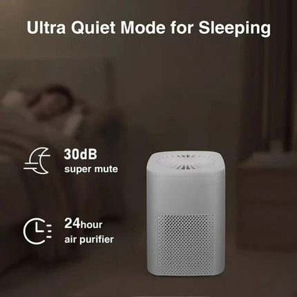 Home Air Purifiers for Large Room with H13 Filter Captures Smoke, Odor & Pet Dander