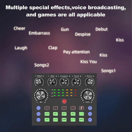 Home Studio Recording Kit Podcast Music Mixer Equipment Condenser Microphone Set