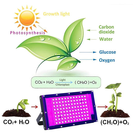 Full Spectrum Plant 96 LED UV Grow Light Halo Lamp For Indoor Hydroponic Plant